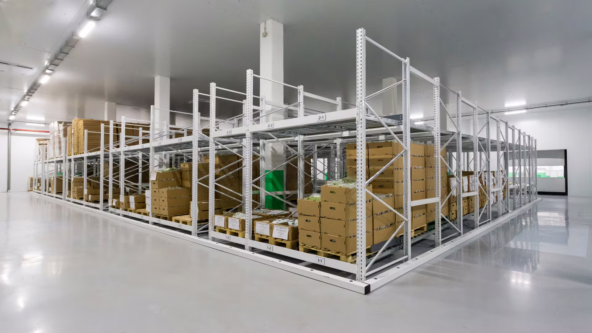 Our Products